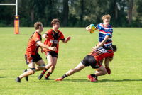 Alkmaarse RUFC 1 - RC Waterland 1 (2e klasse Heren Noord - 1e fase)