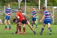 Alkmaarse RUFC 1 - RC Waterland 1 (2e klasse Heren Noord - 1e fase)