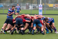 RC Waterland 1 - RC Bulldogs 1 (2e klasse Heren Noord - 1e fase)