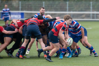 RC Waterland 1 - RC Bulldogs 1 (2e klasse Heren Noord - 1e fase)