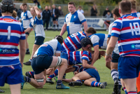 RC Waterland 1 - RC Zwolle 1 (2e klasse Heren Noord - 1e fase)